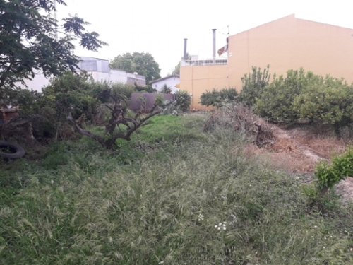 Rincón De Seca Huerta De Murcia tomt foto 6234408