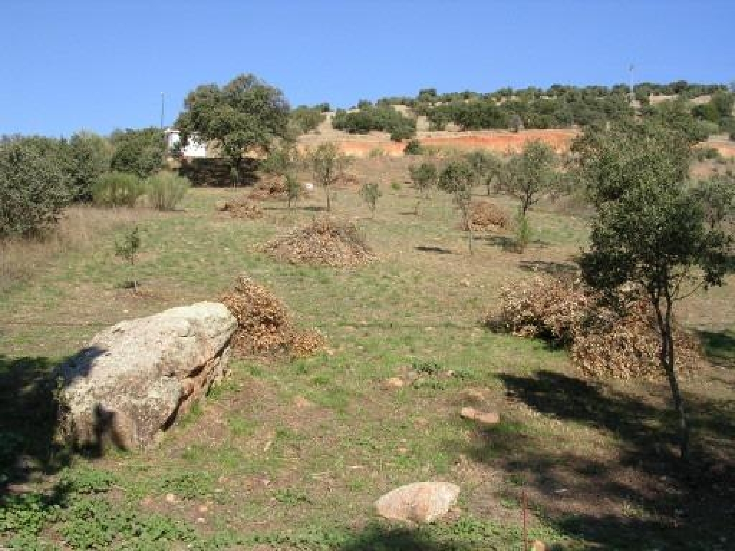 till salu tomt Rio Cedena Montes De Toledo (Los) 3