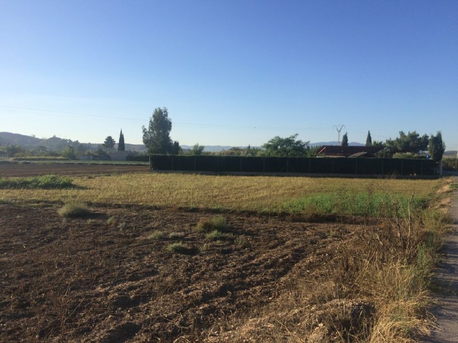 for sale plot Molina De Segura Vega Media Del Segura 2