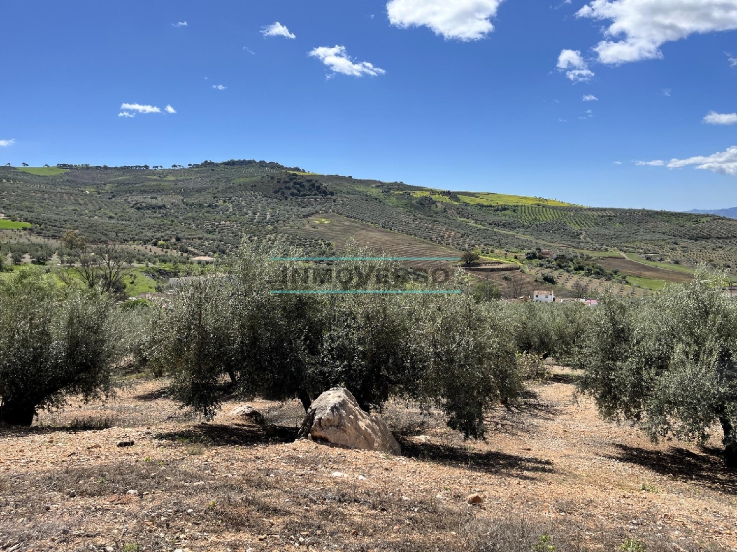  for sale plot Rio Seco Axarquía 7