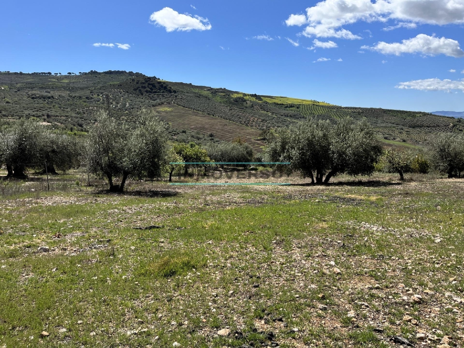  for sale plot Rio Seco Axarquía 5