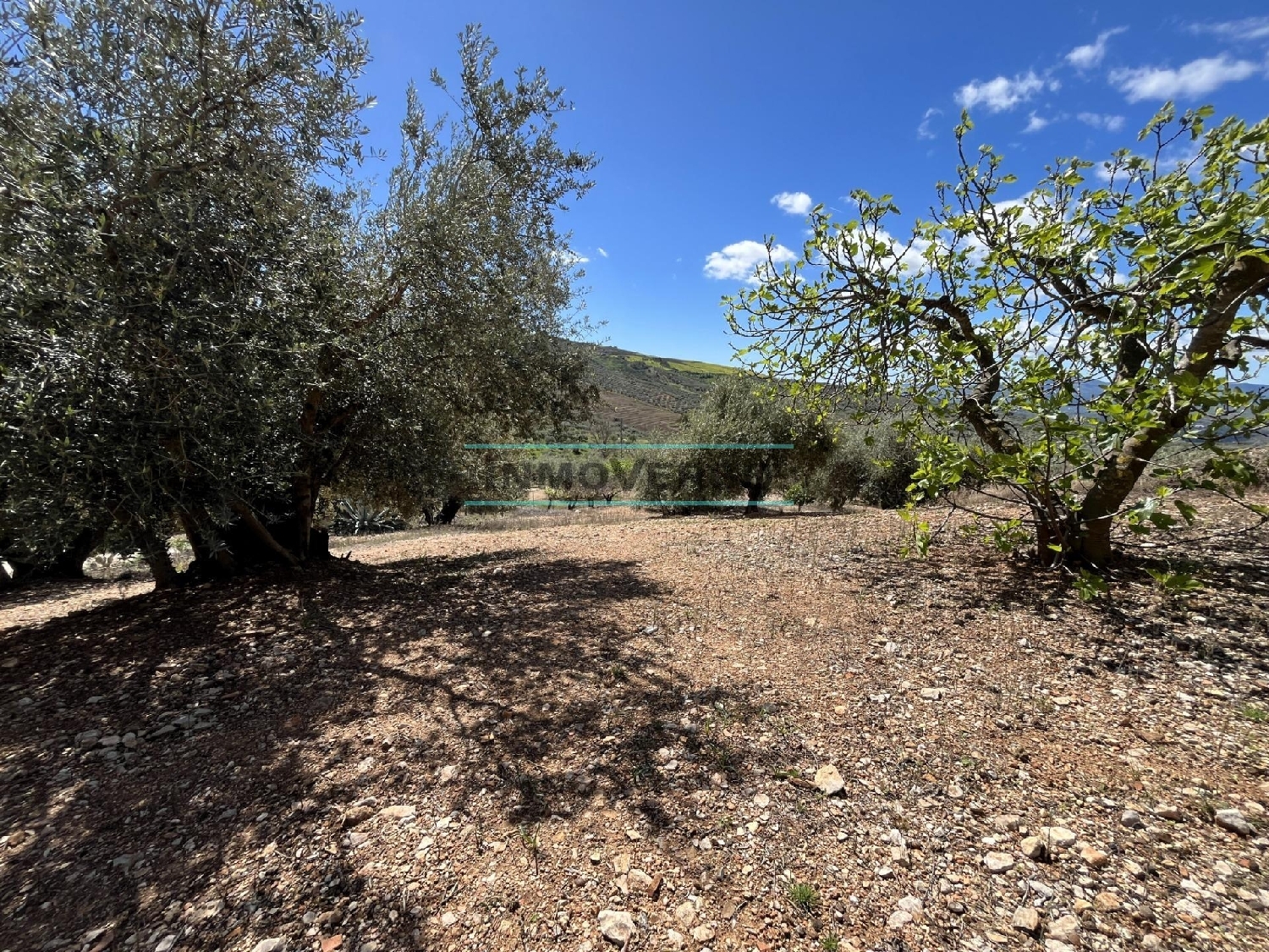  for sale plot Rio Seco Axarquía 4