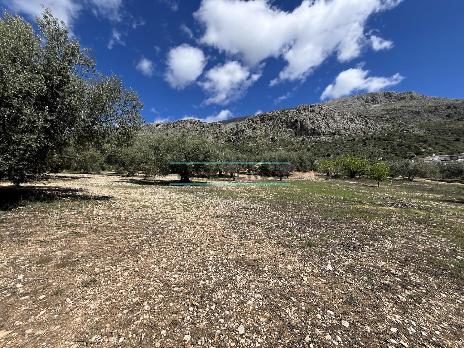  for sale plot Rio Seco Axarquía 1