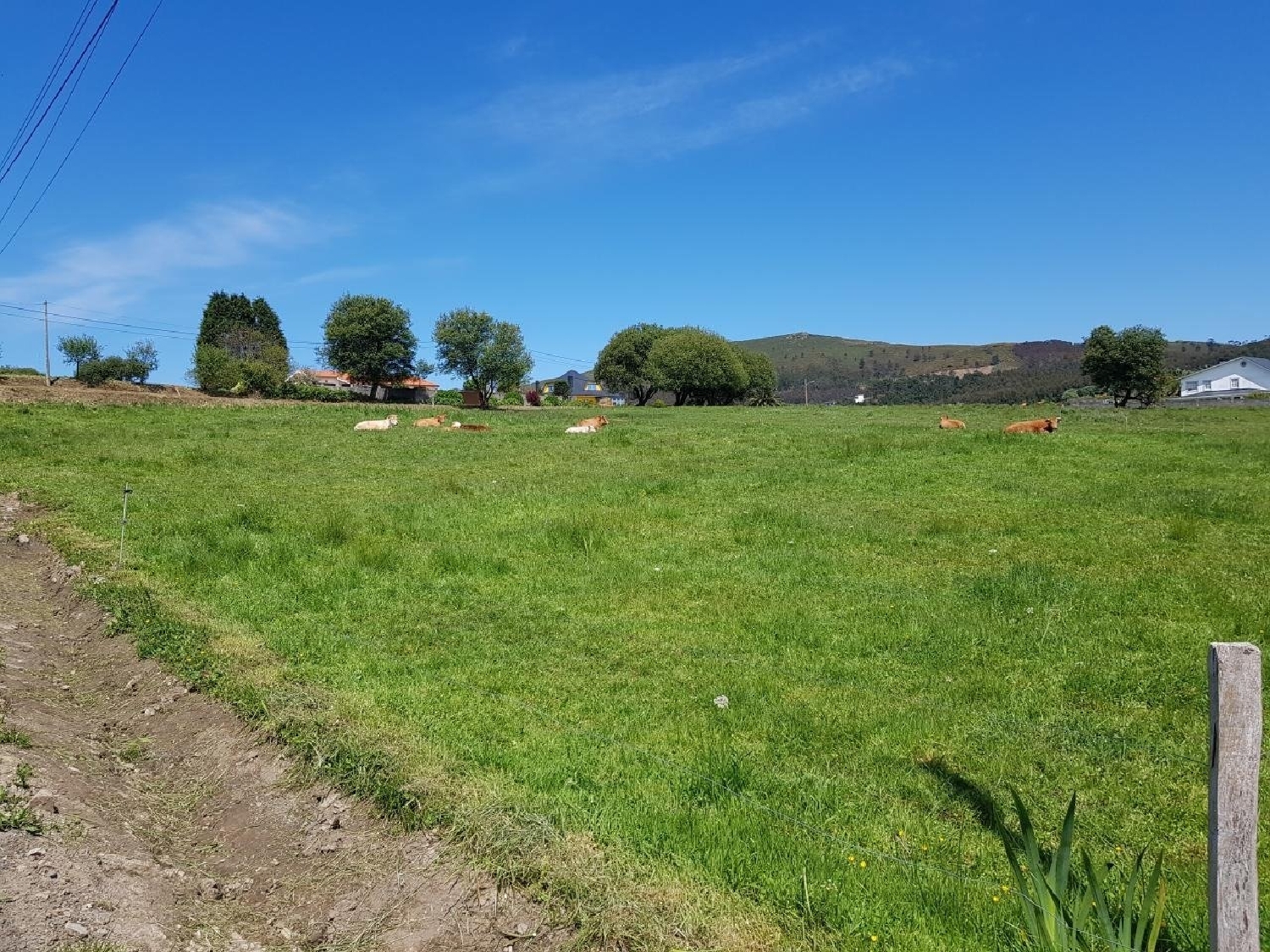  till salu tomt Riobó Ferrol 5