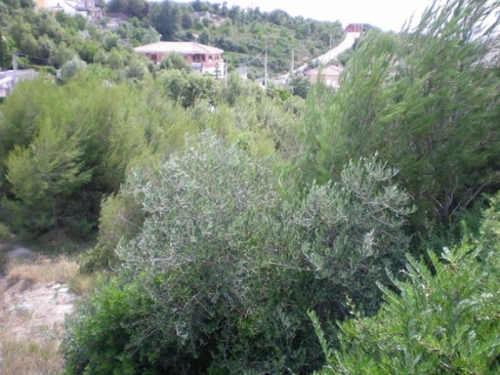 River Park Bages tomt foto 6259595