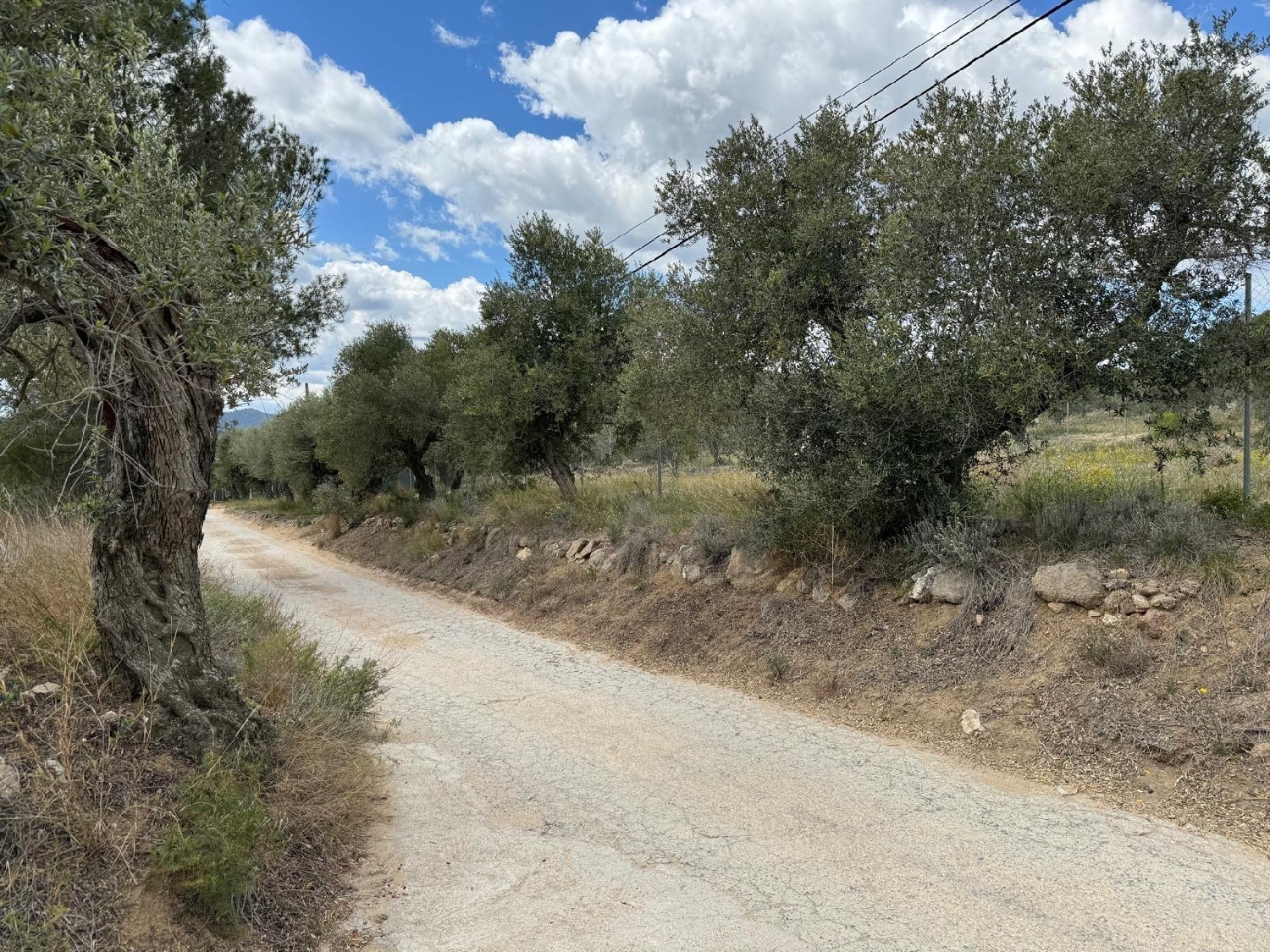  till salu tomt Roda De Barà Tarragonès 6