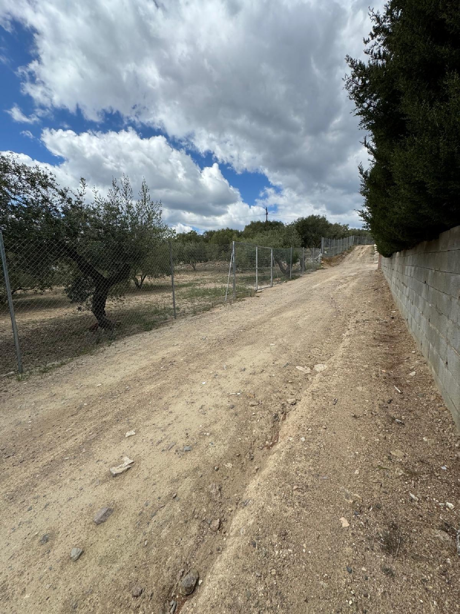 till salu tomt Roda De Barà Tarragonès 2