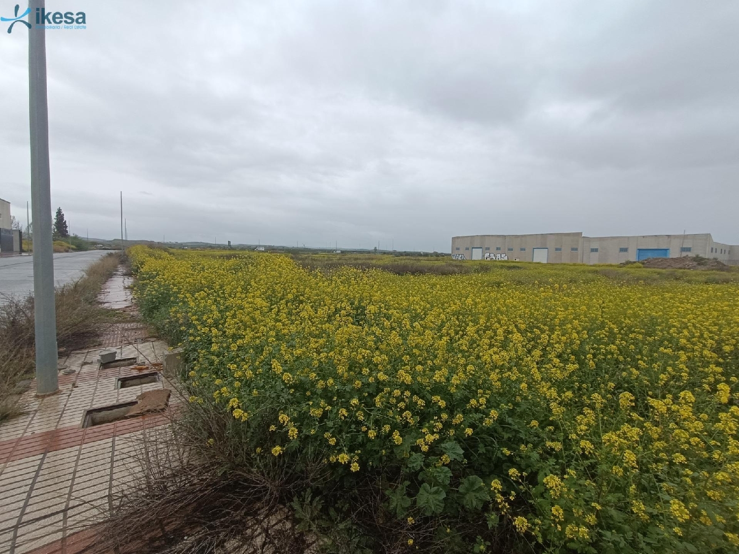  en venta terreno Romilla Vega De Granada 2