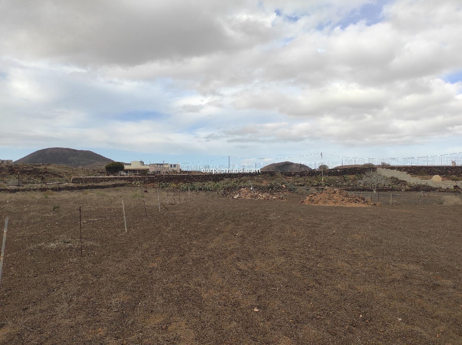  till salu tomt Roque Oliva (La) 5
