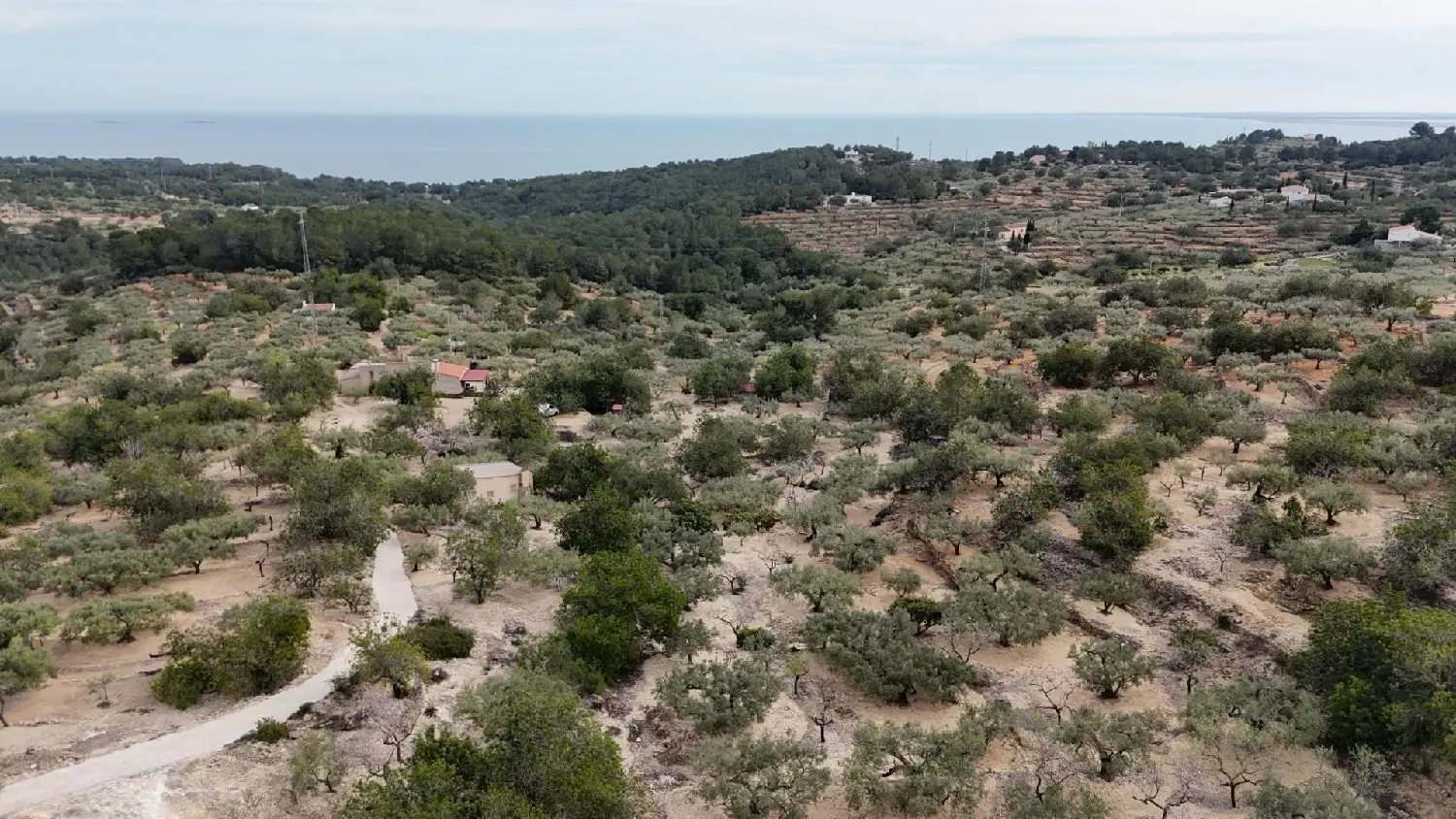  till salu tomt Calafat Baix Ebre 1