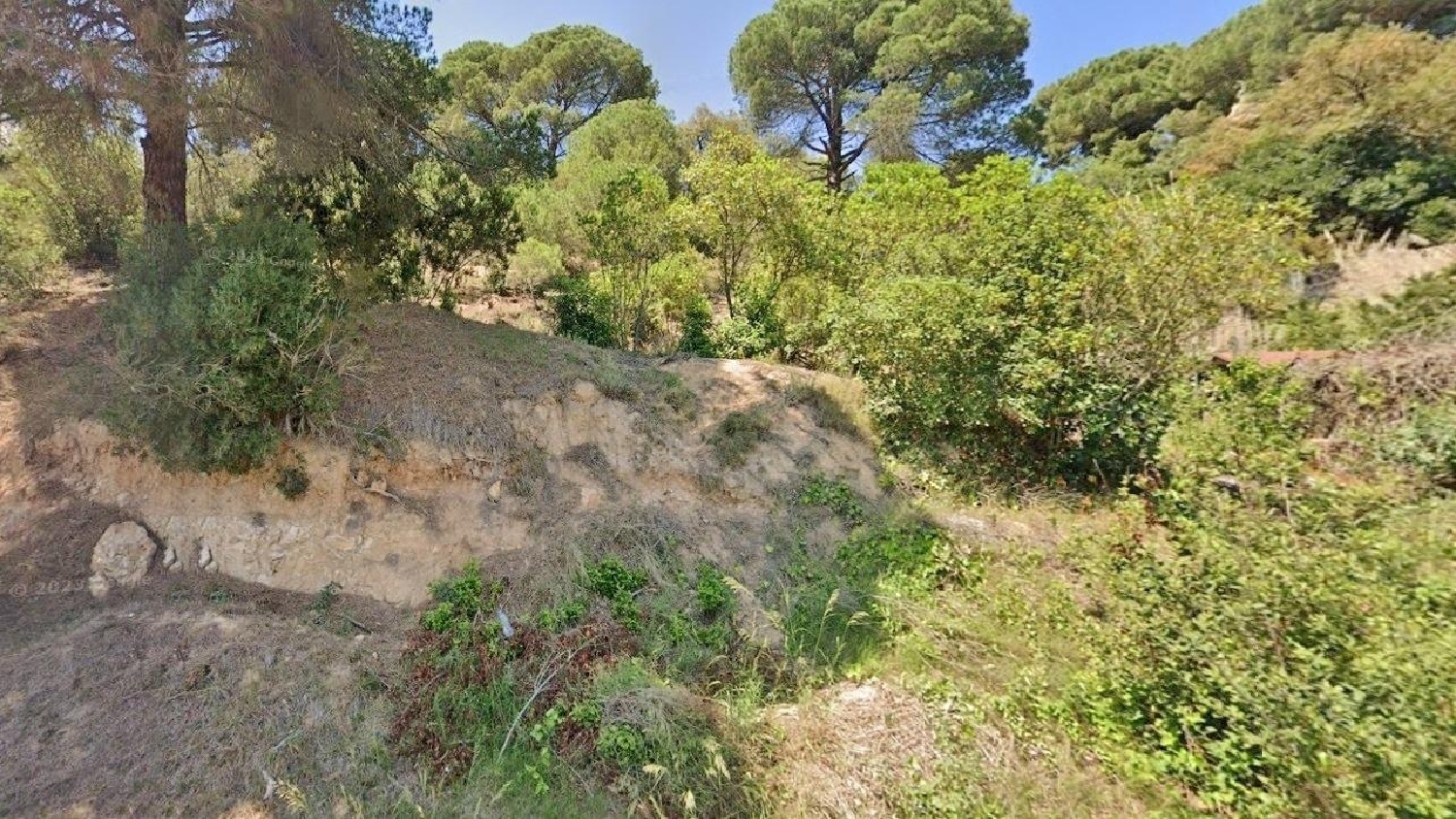  for sale plot Serra Brava Selva 2