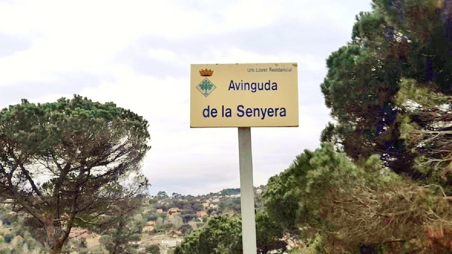 for sale plot Serra Brava Selva 7