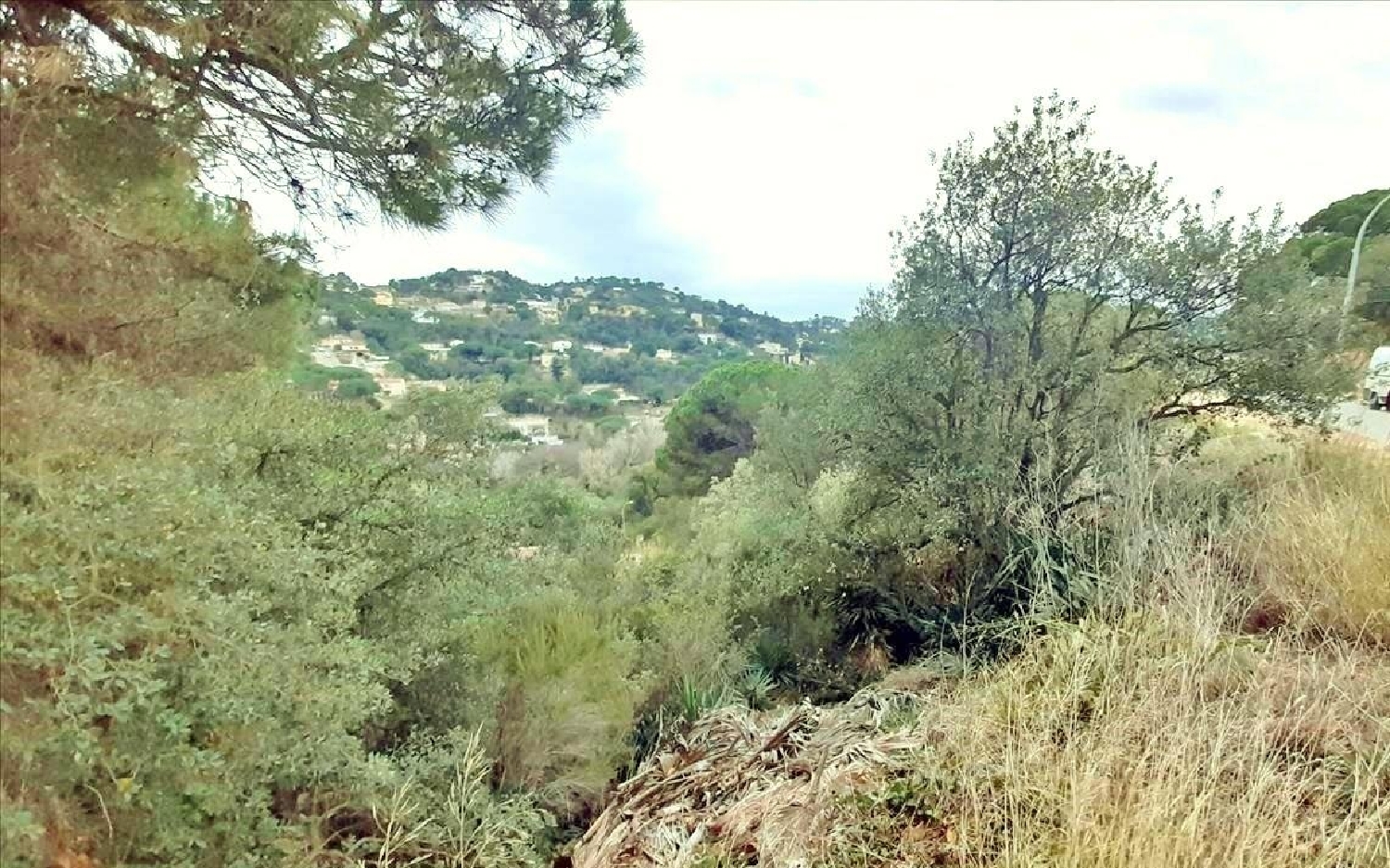  for sale plot Serra Brava Selva 3