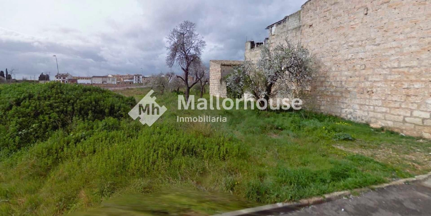 till salu tomt Sa Pobla Nord 2