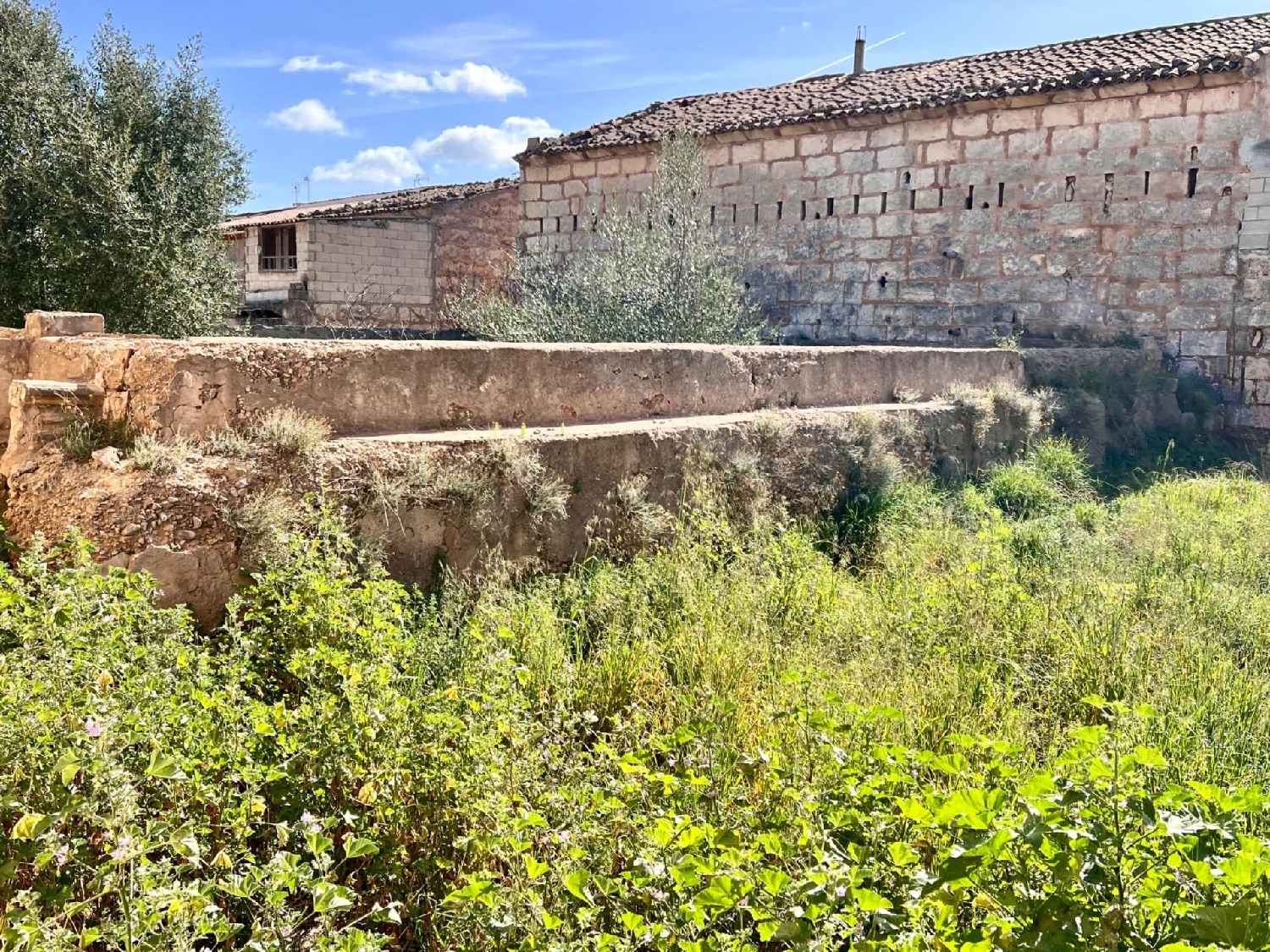  till salu tomt Sa Pobla Nord 6