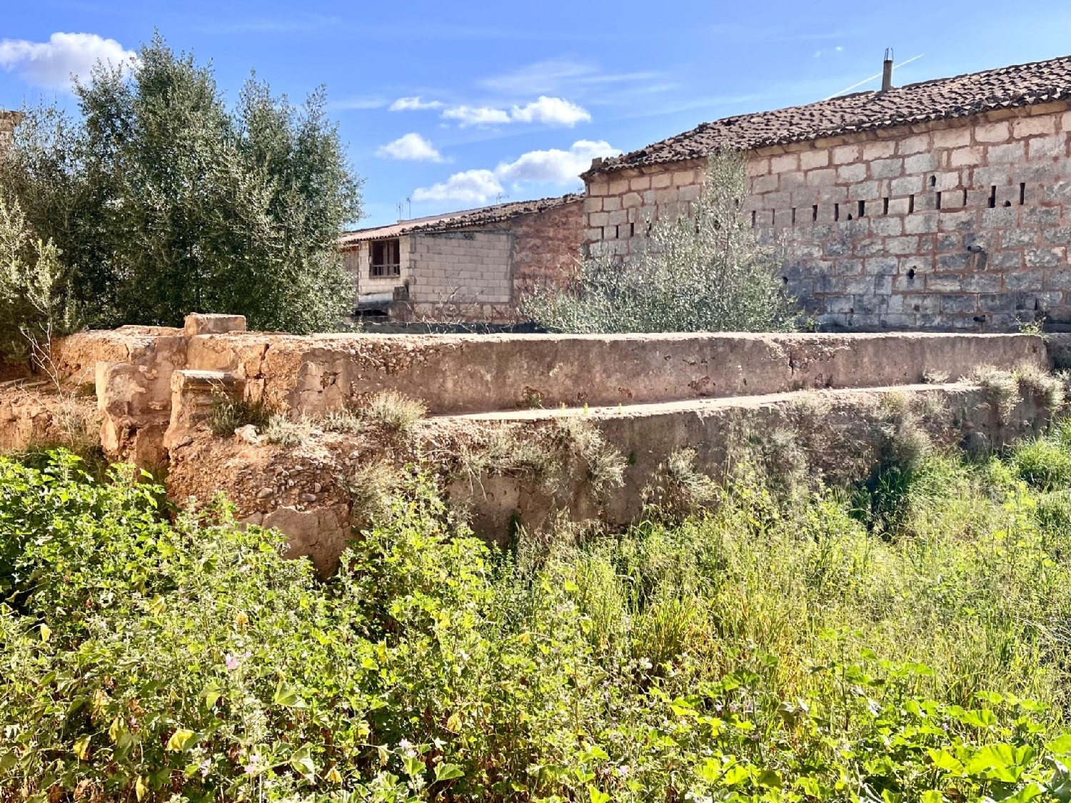  till salu tomt Sa Pobla Nord 7