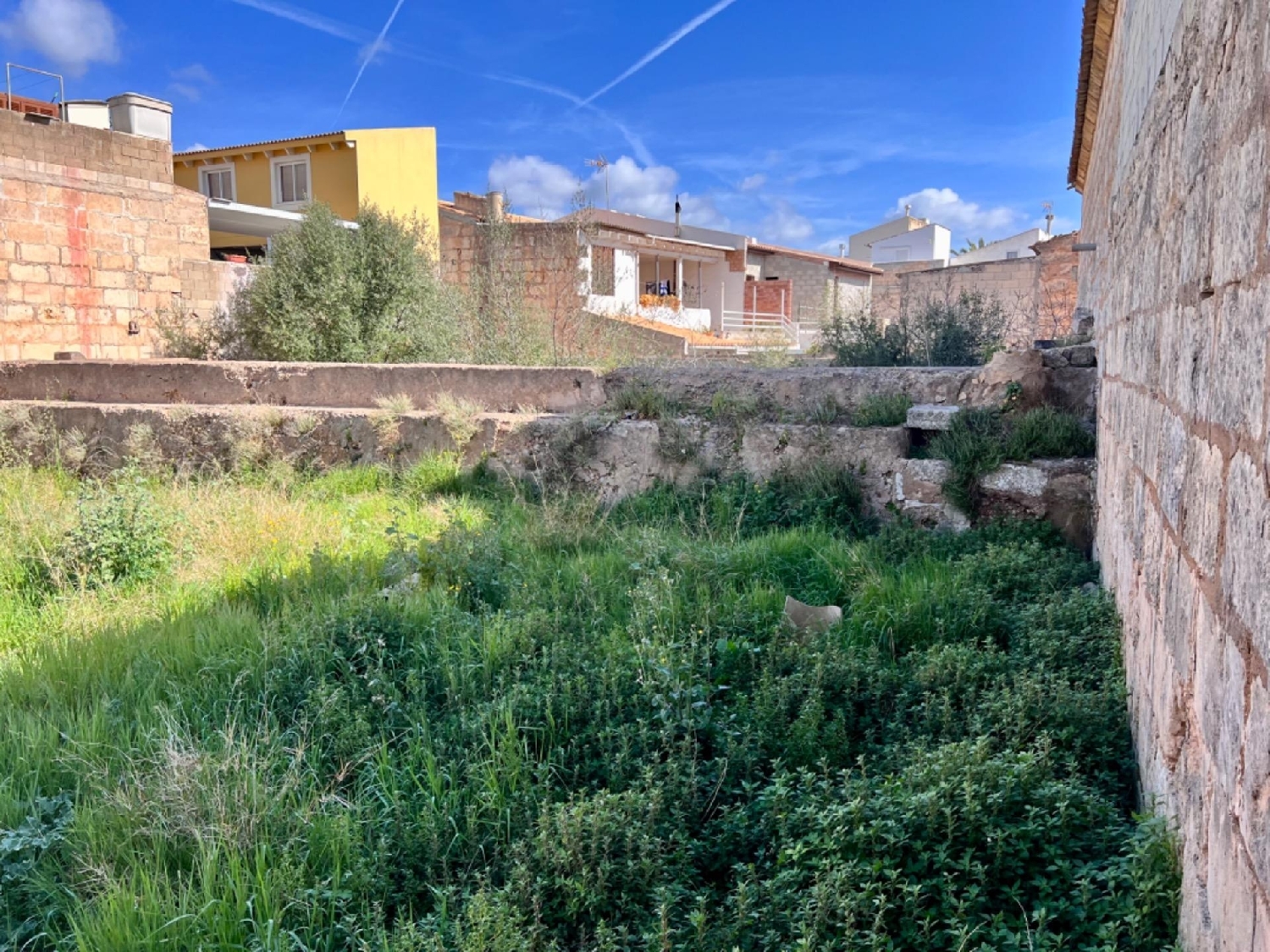  till salu tomt Sa Pobla Nord 8