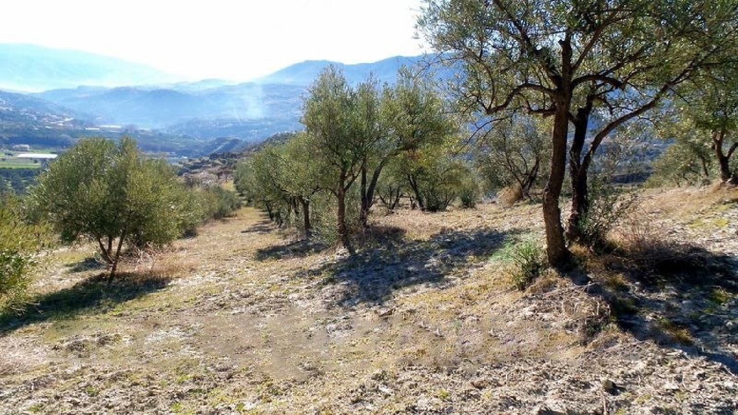  till salu tomt Saleres Valle De Lecrín 1