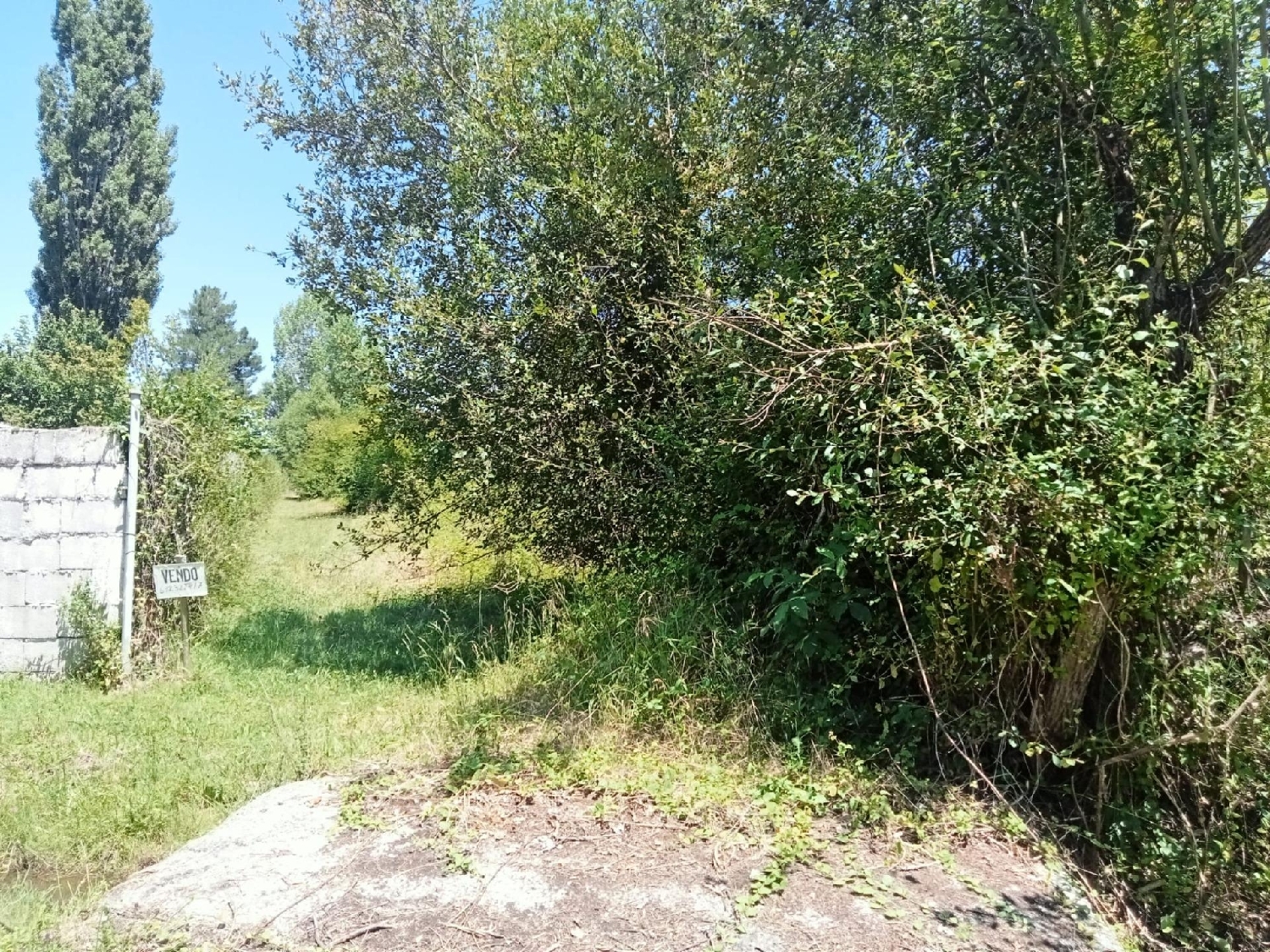  till salu tomt San Andrés De Montejos Bierzo (El) 1