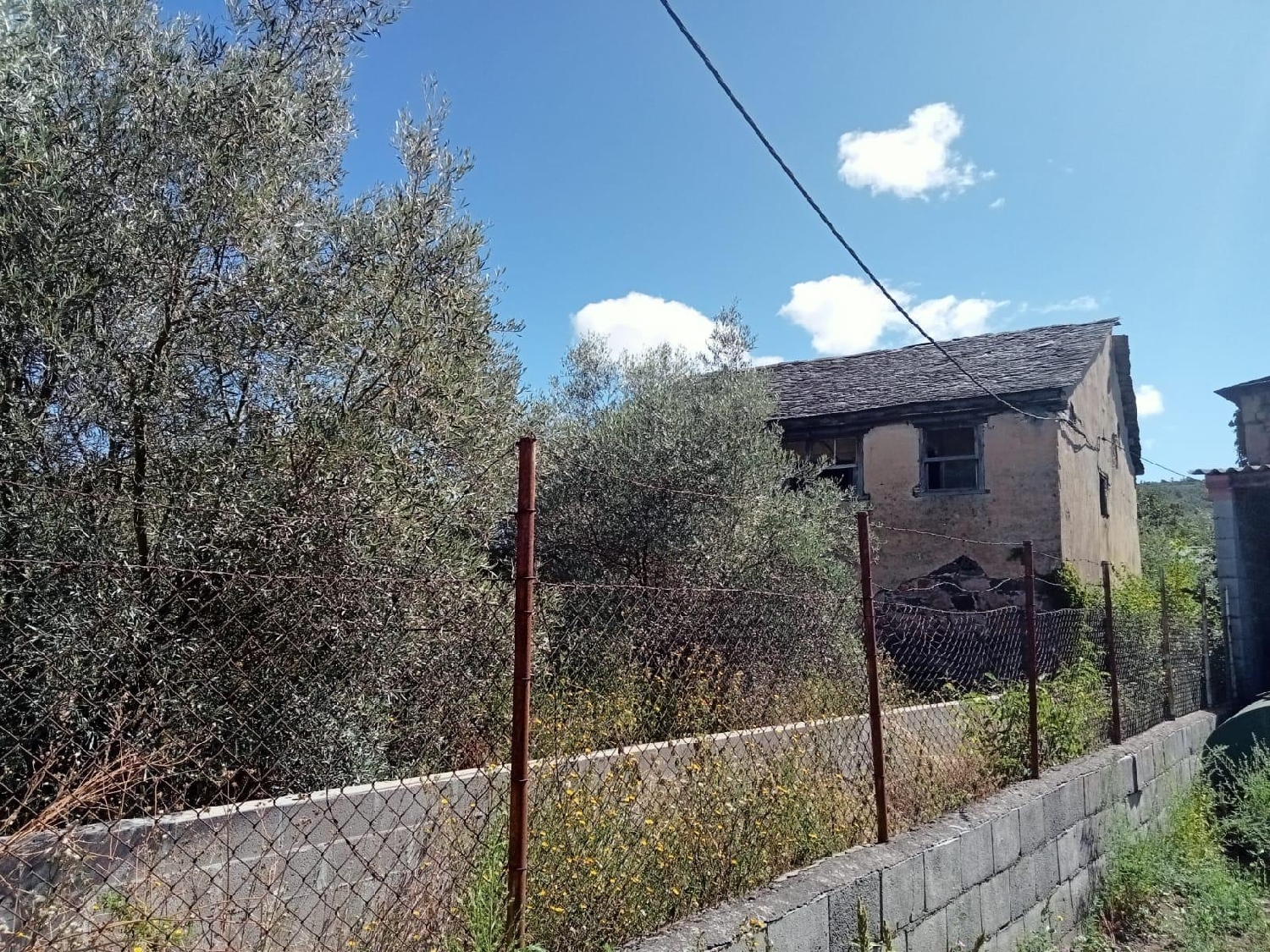  till salu tomt San Andrés De Montejos Bierzo (El) 6