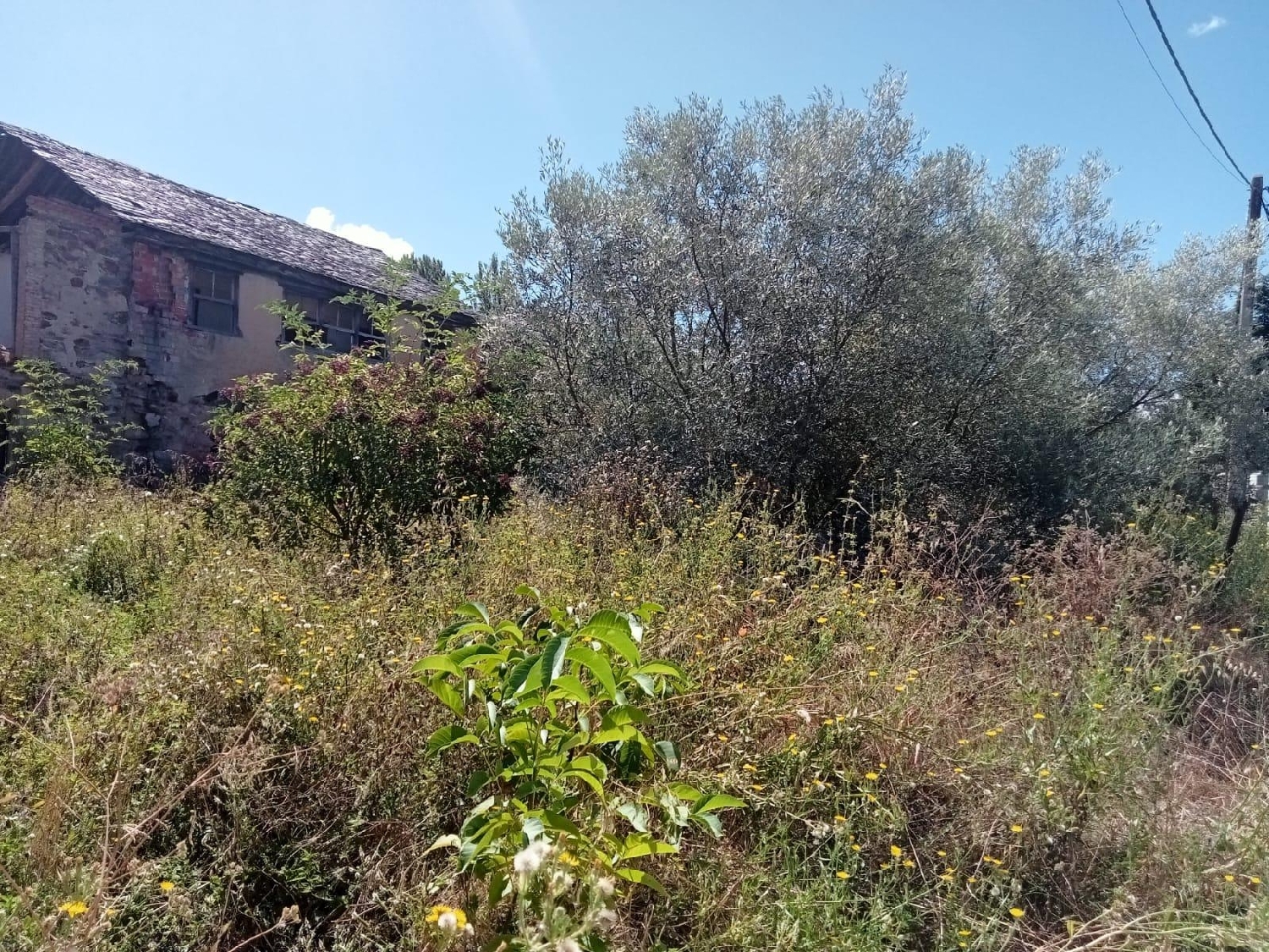  till salu tomt San Andrés De Montejos Bierzo (El) 4