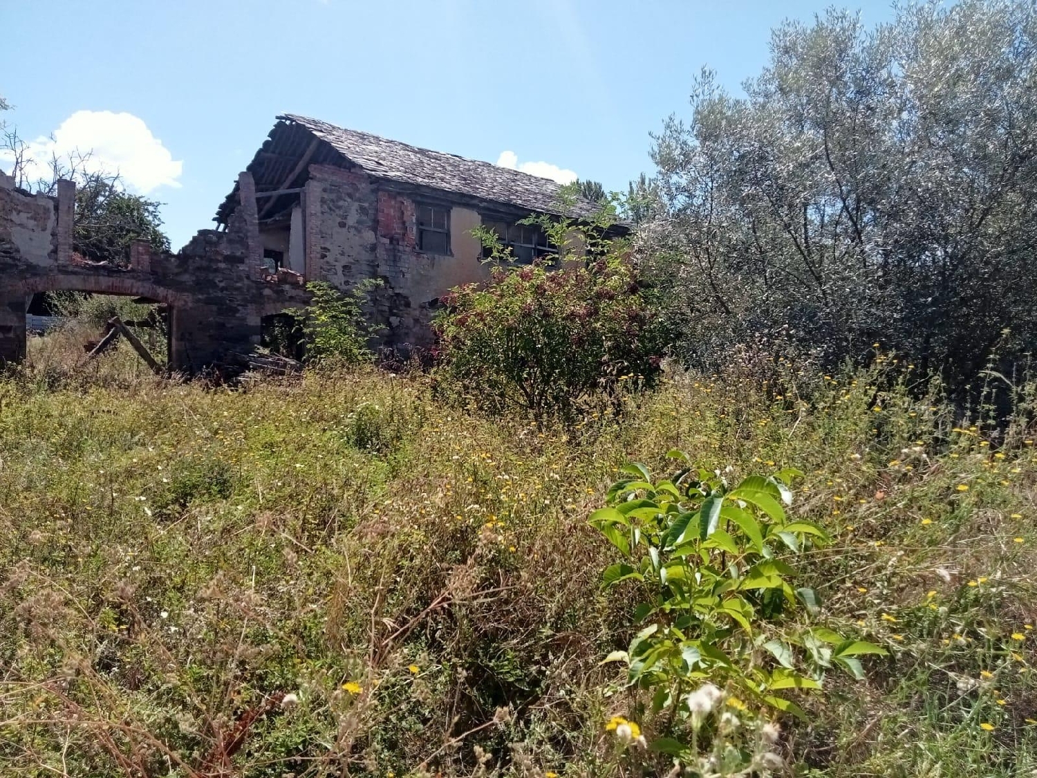  till salu tomt San Andrés De Montejos Bierzo (El) 5