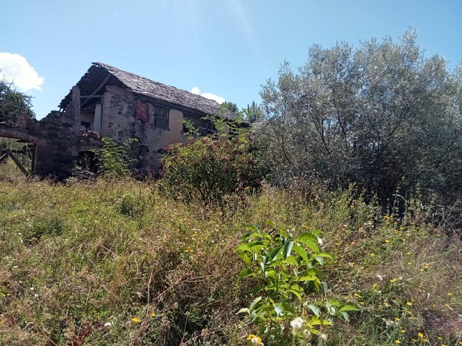 till salu tomt San Andrés De Montejos Bierzo (El) 3