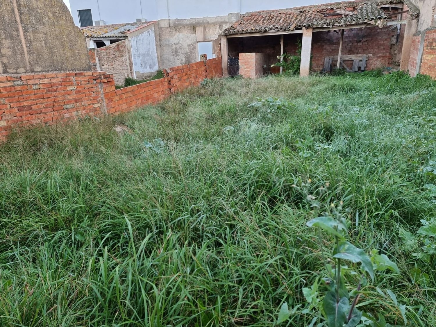 for sale plot San Bartolome De La Torre Andévalo (El) 2