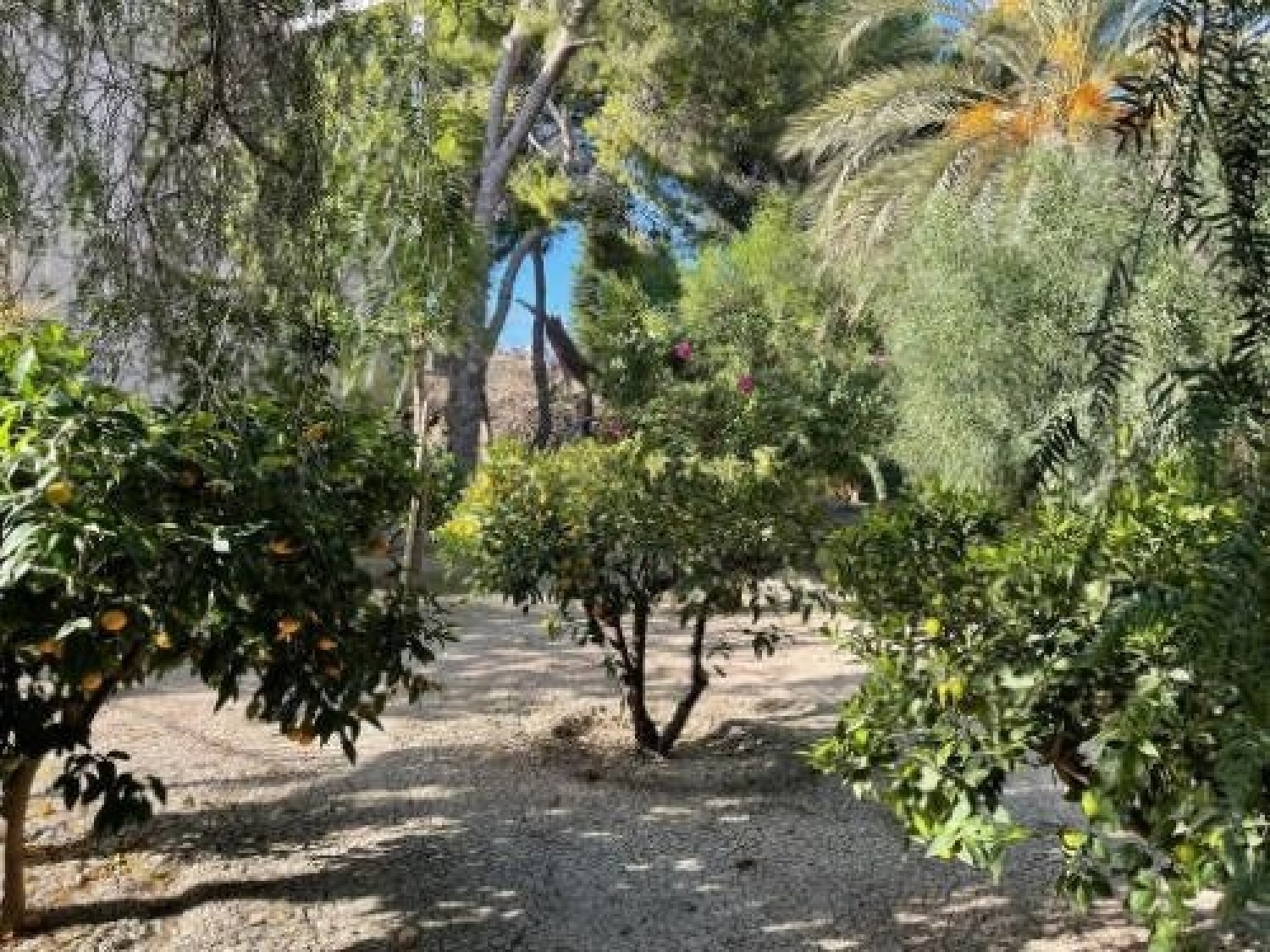  till salu tomt San Cayetano Mar Menor 7
