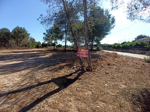 San Cristóbal Ribera Alta tomt foto 6257403