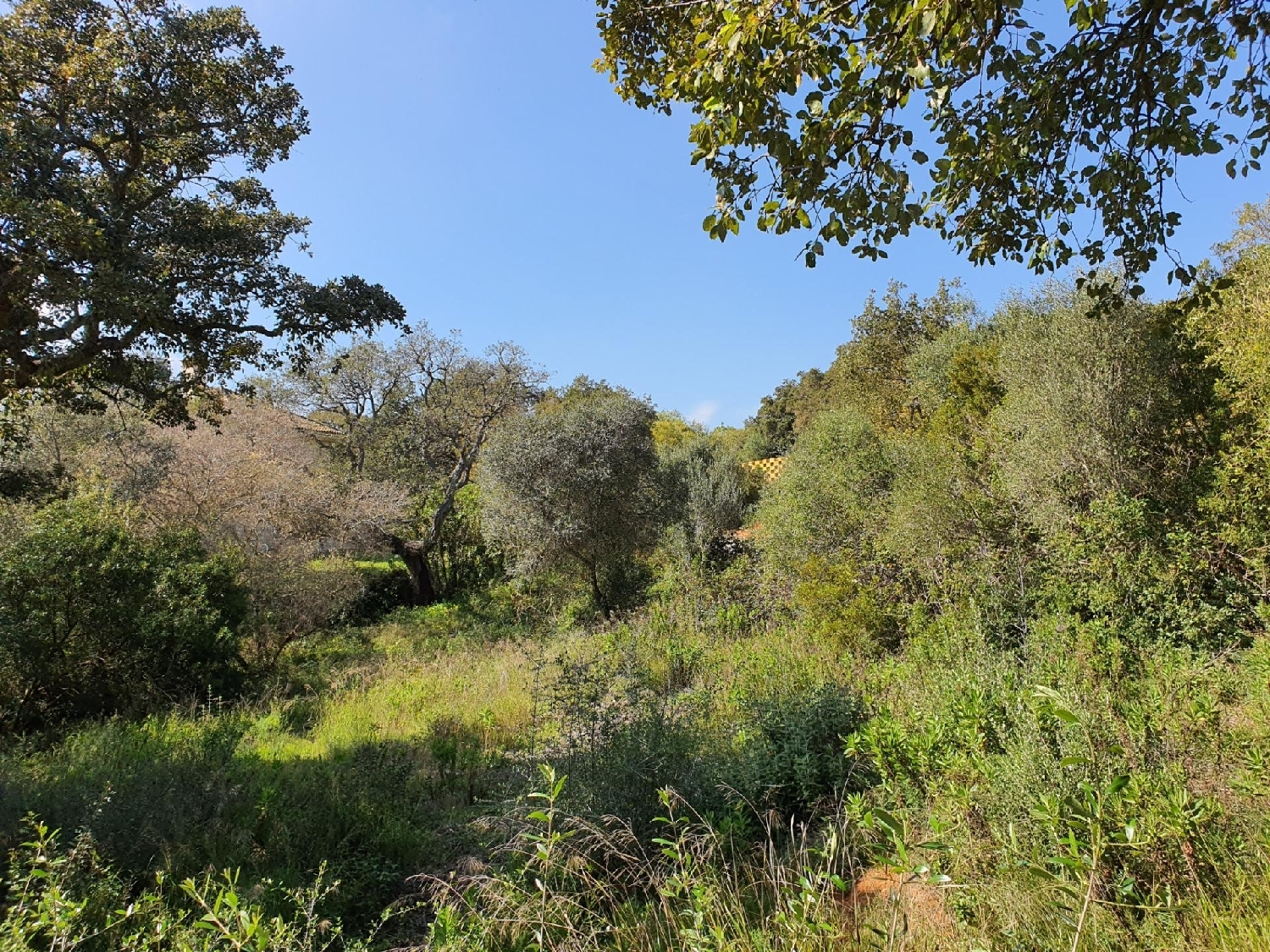  till salu tomt San Diego Campo De Gibraltar 1