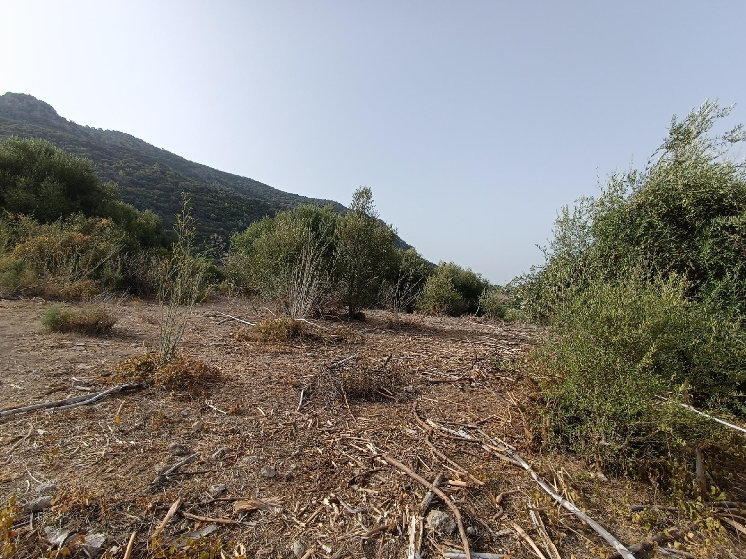  till salu tomt San Jose Sierra De Cádiz 4