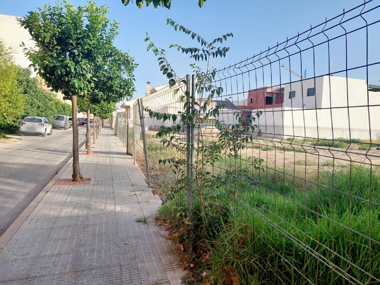  till salu tomt San Juan Huerta De Murcia 1