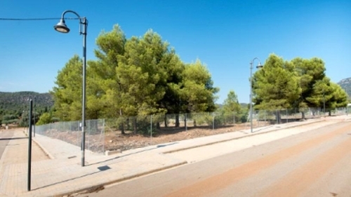 San Juan De Moró Plana Alta tomt foto 6250332
