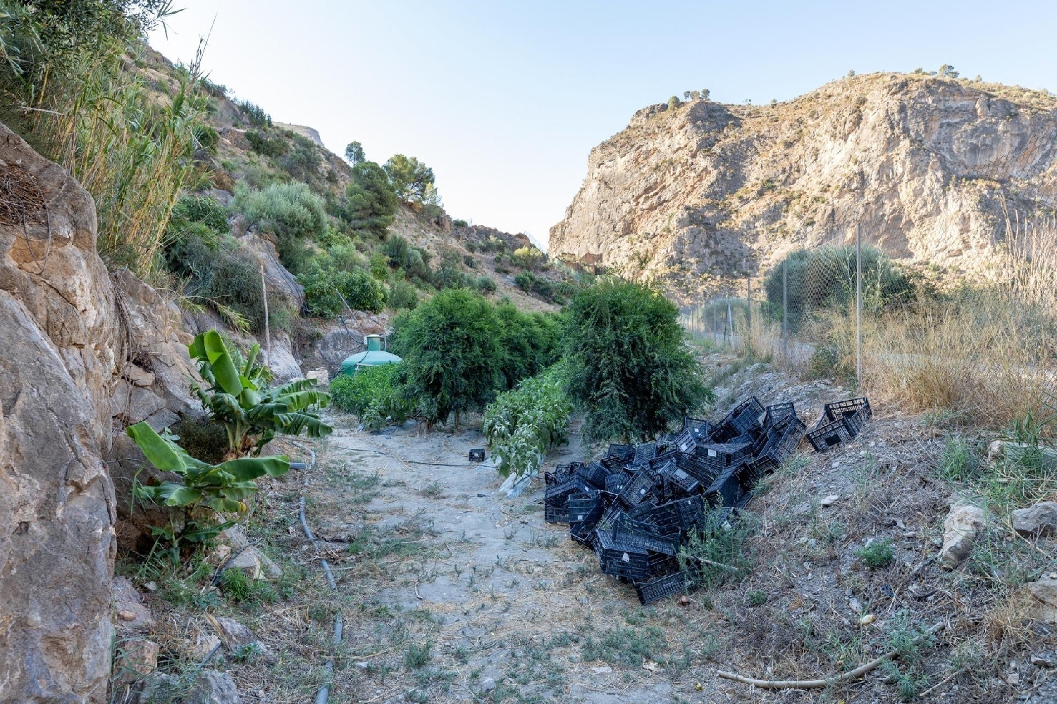  till salu tomt Capileira Alpujarra Granadina 6