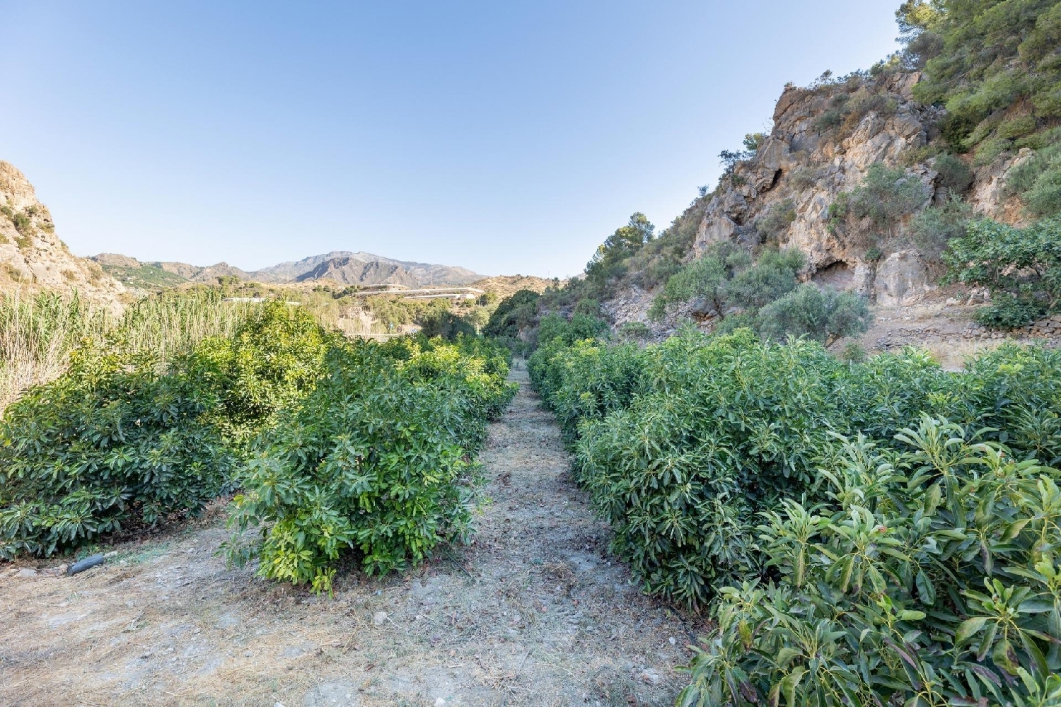  till salu tomt Capileira Alpujarra Granadina 4