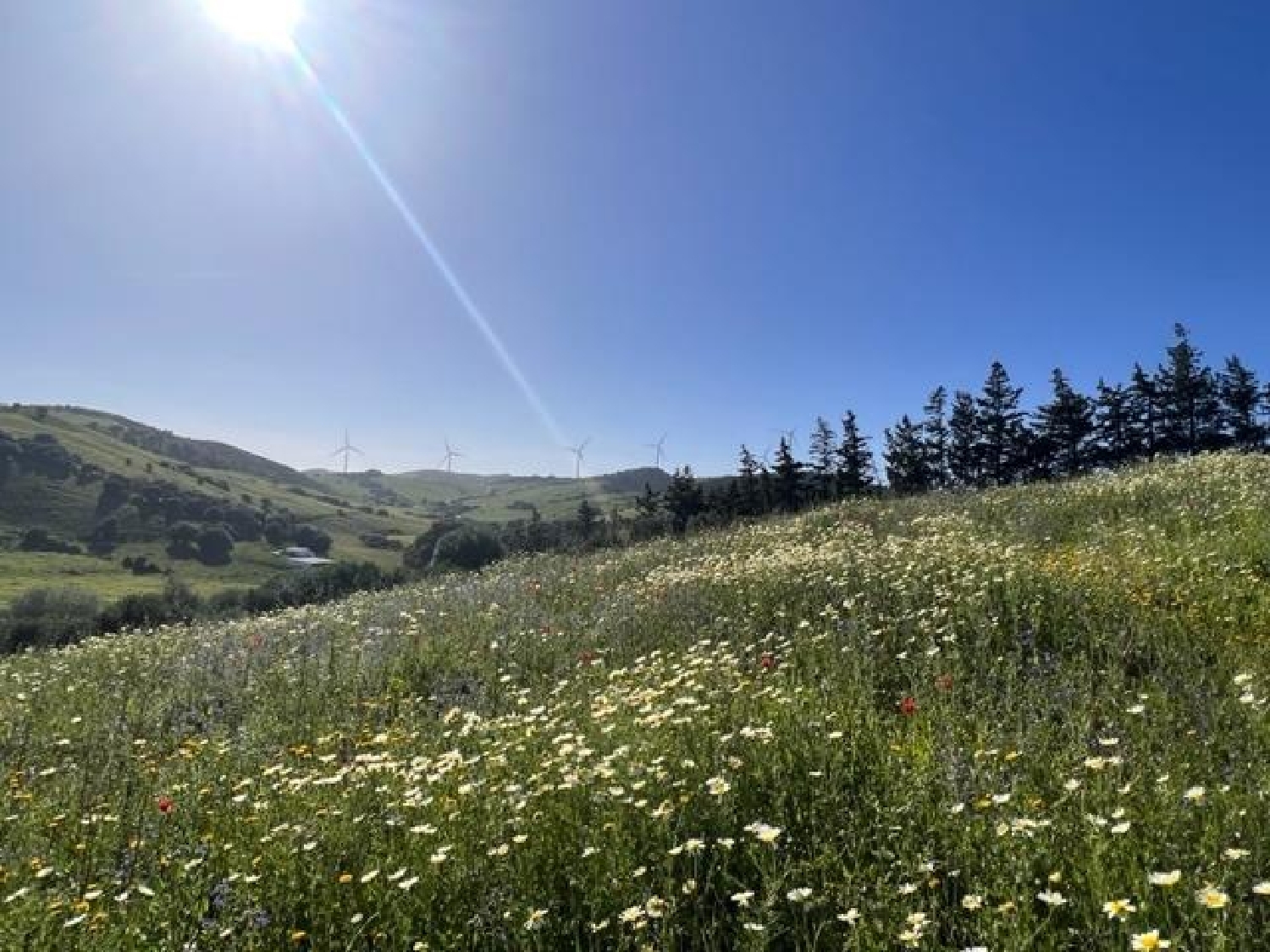  till salu tomt San Martin Del Tesorillo Campo De Gibraltar 4