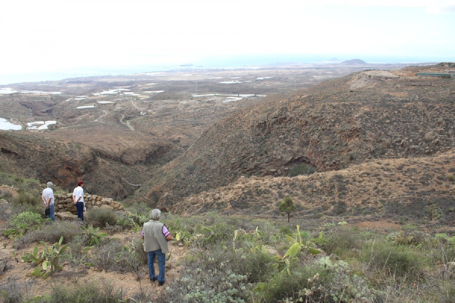  till salu tomt San Miguel De Tajao Zona Sureste 4