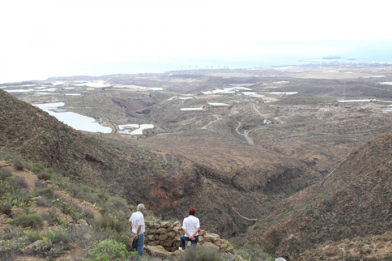 till salu tomt San Miguel De Tajao Zona Sureste 3