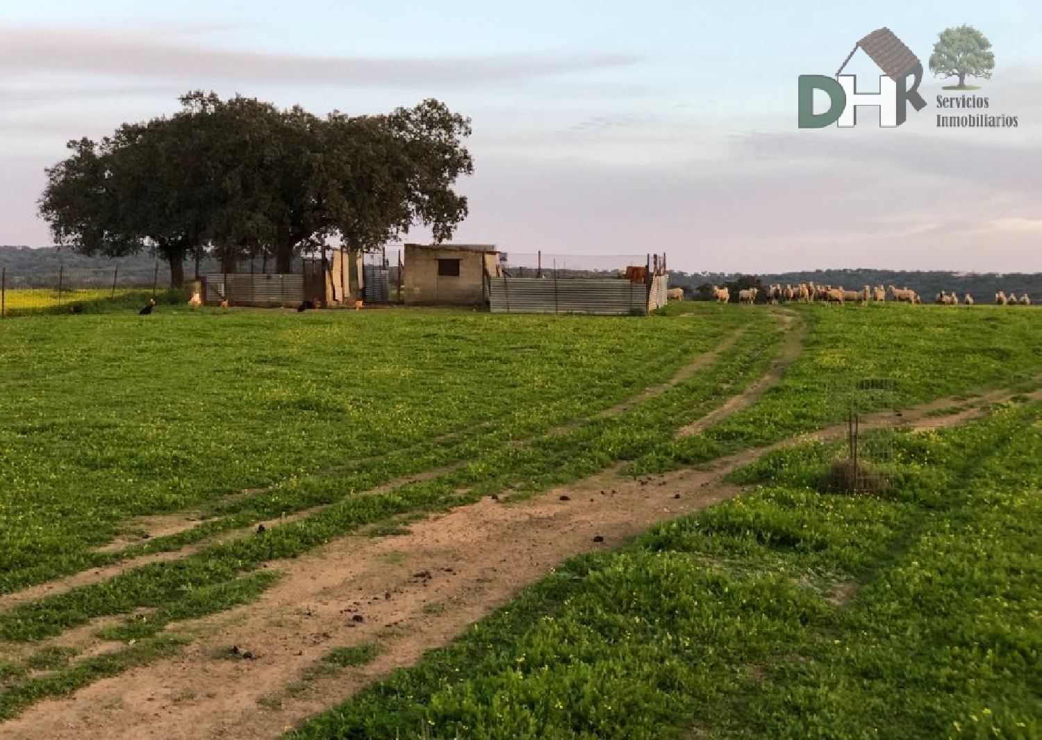  till salu tomt San Roque-Ronda Norte Badajoz 1