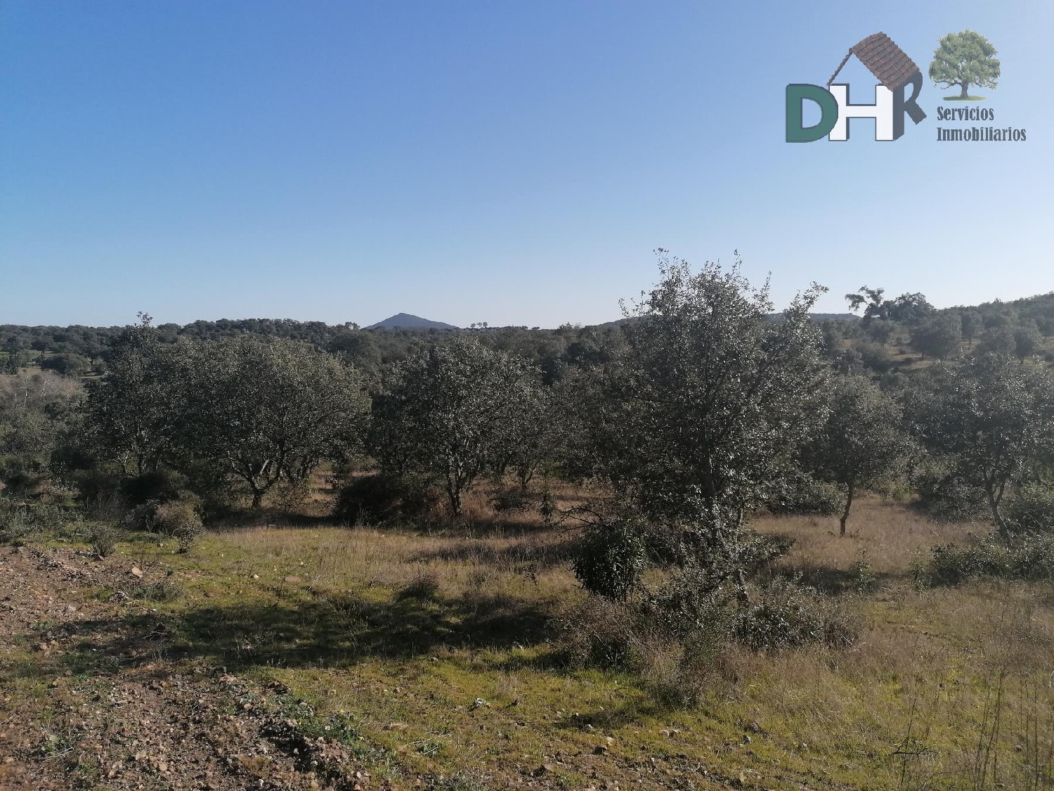  till salu tomt San Roque-Ronda Norte Badajoz 4