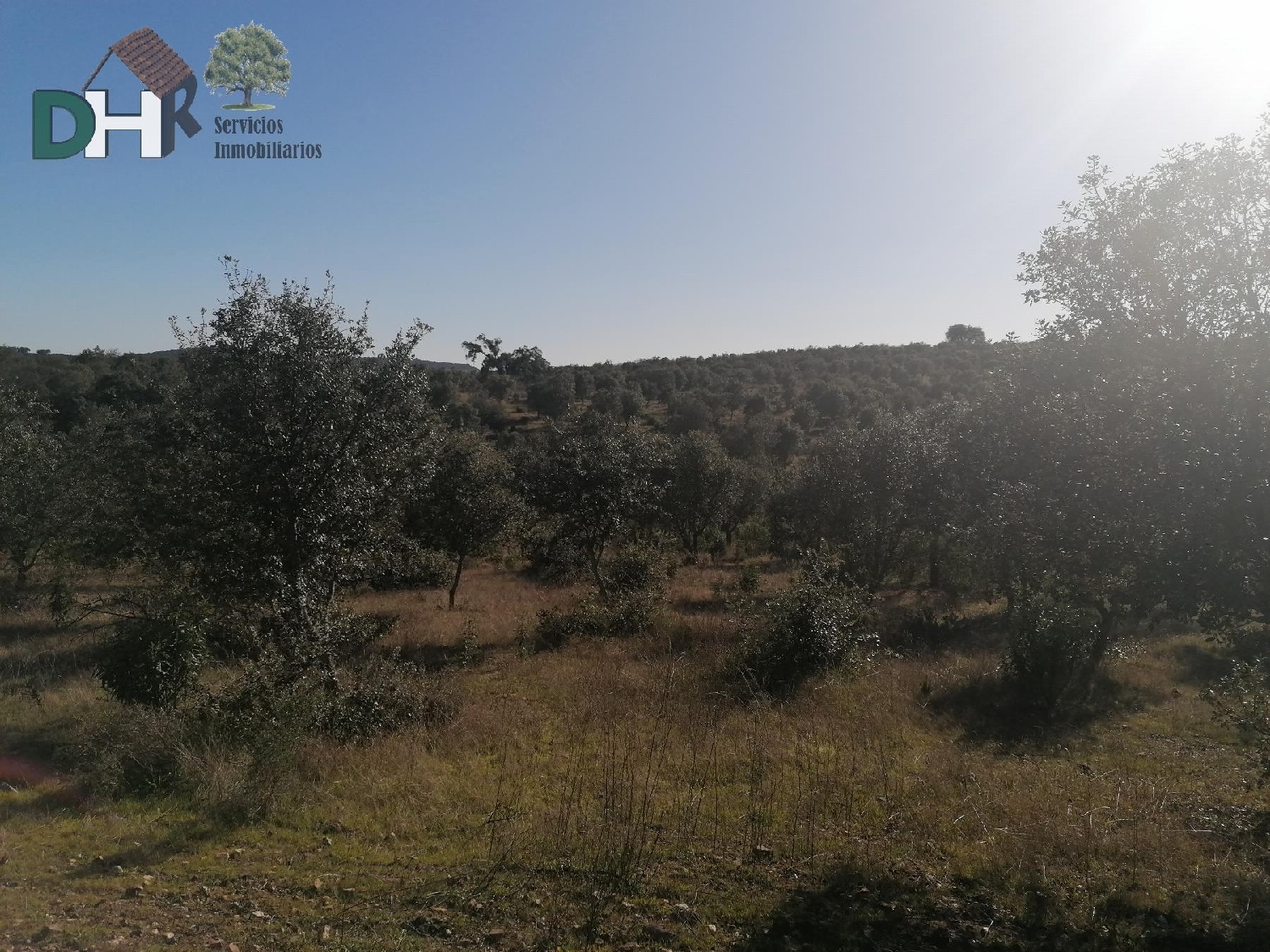till salu tomt San Roque-Ronda Norte Badajoz 3