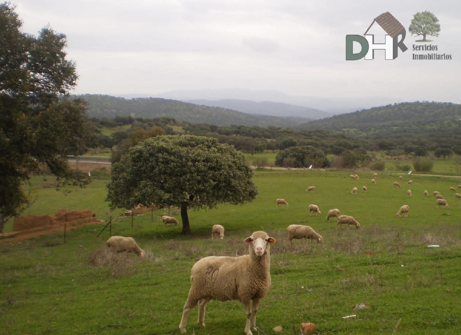  till salu tomt San Roque-Ronda Norte Badajoz 7
