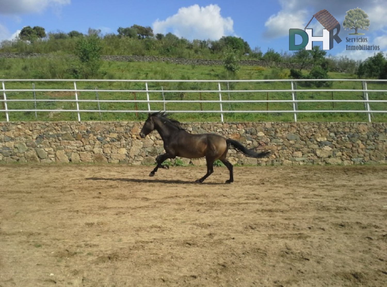  till salu tomt San Roque-Ronda Norte Badajoz 5