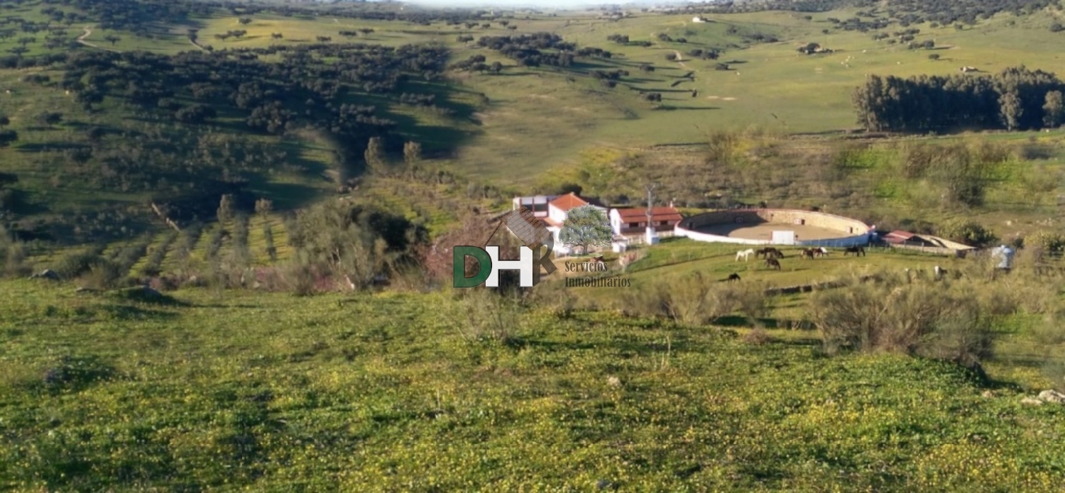  till salu tomt San Roque-Ronda Norte Badajoz 1
