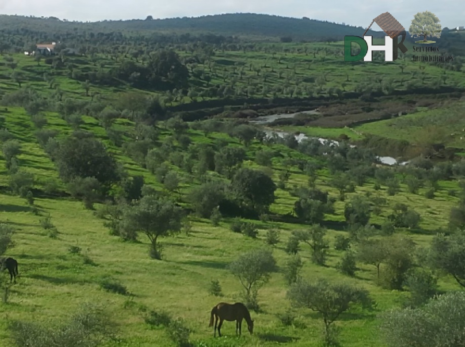  till salu tomt San Roque-Ronda Norte Badajoz 2