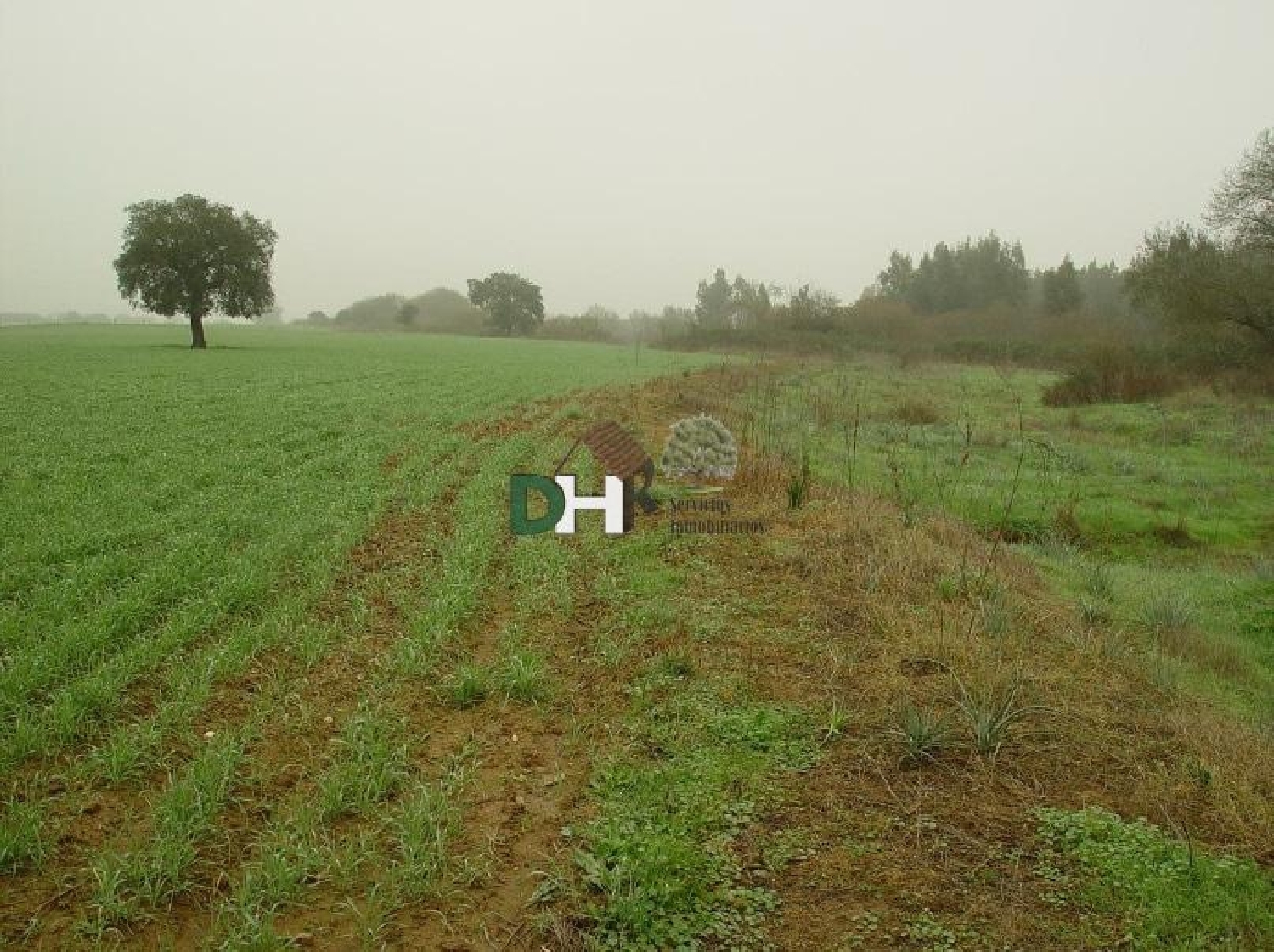  till salu tomt San Roque-Ronda Norte Badajoz 4