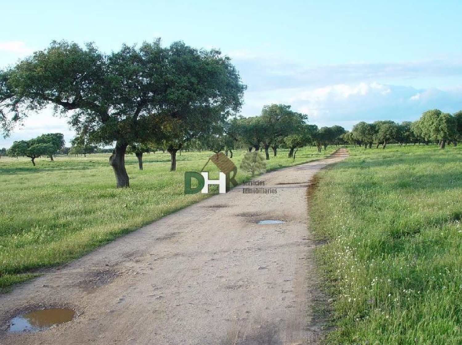  till salu tomt San Roque-Ronda Norte Badajoz 2