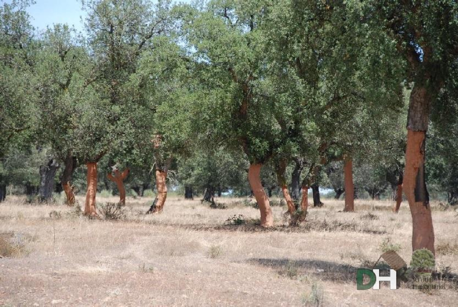  till salu tomt San Roque-Ronda Norte Badajoz 7