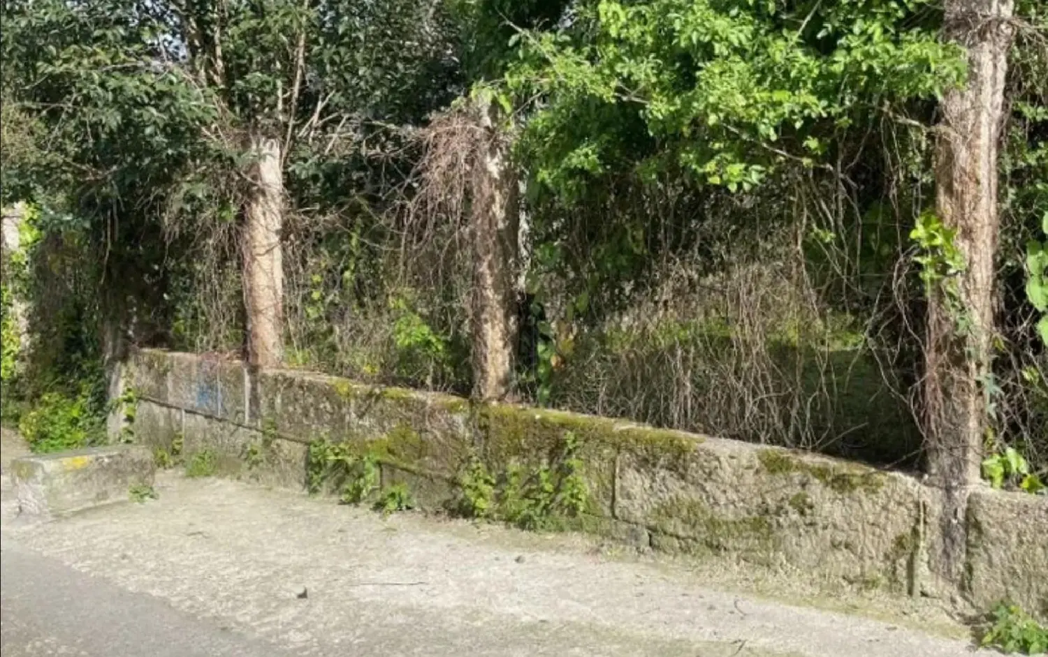  for sale plot Tombo Vigo 1